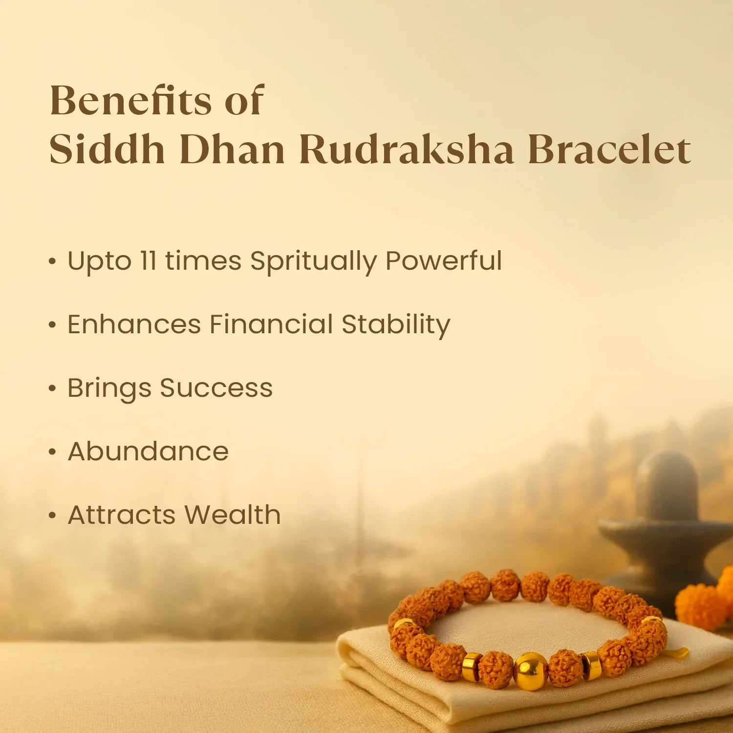 Kashi Siddh Dhan Rudraksha Bracelet