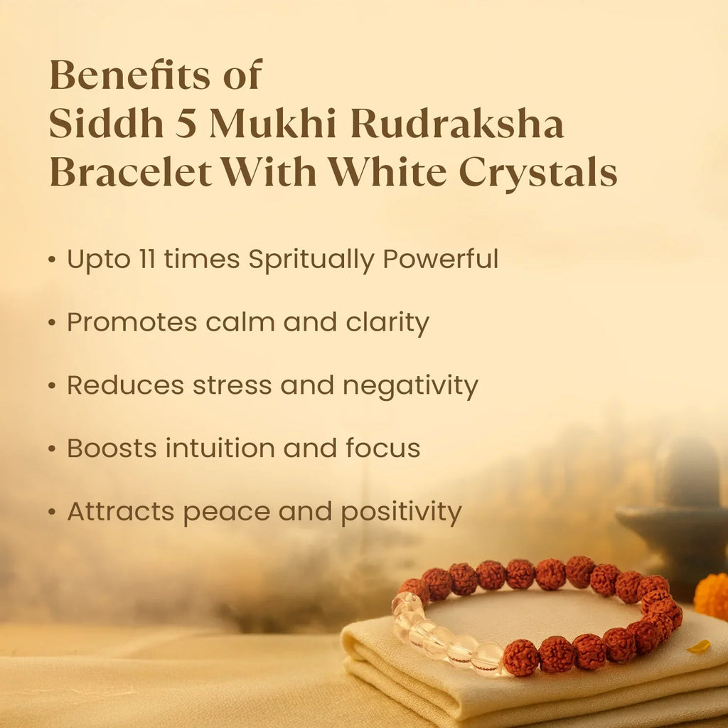 Kashi Siddh 5 Mukhi Rudraksha Bracelet With White Crystals