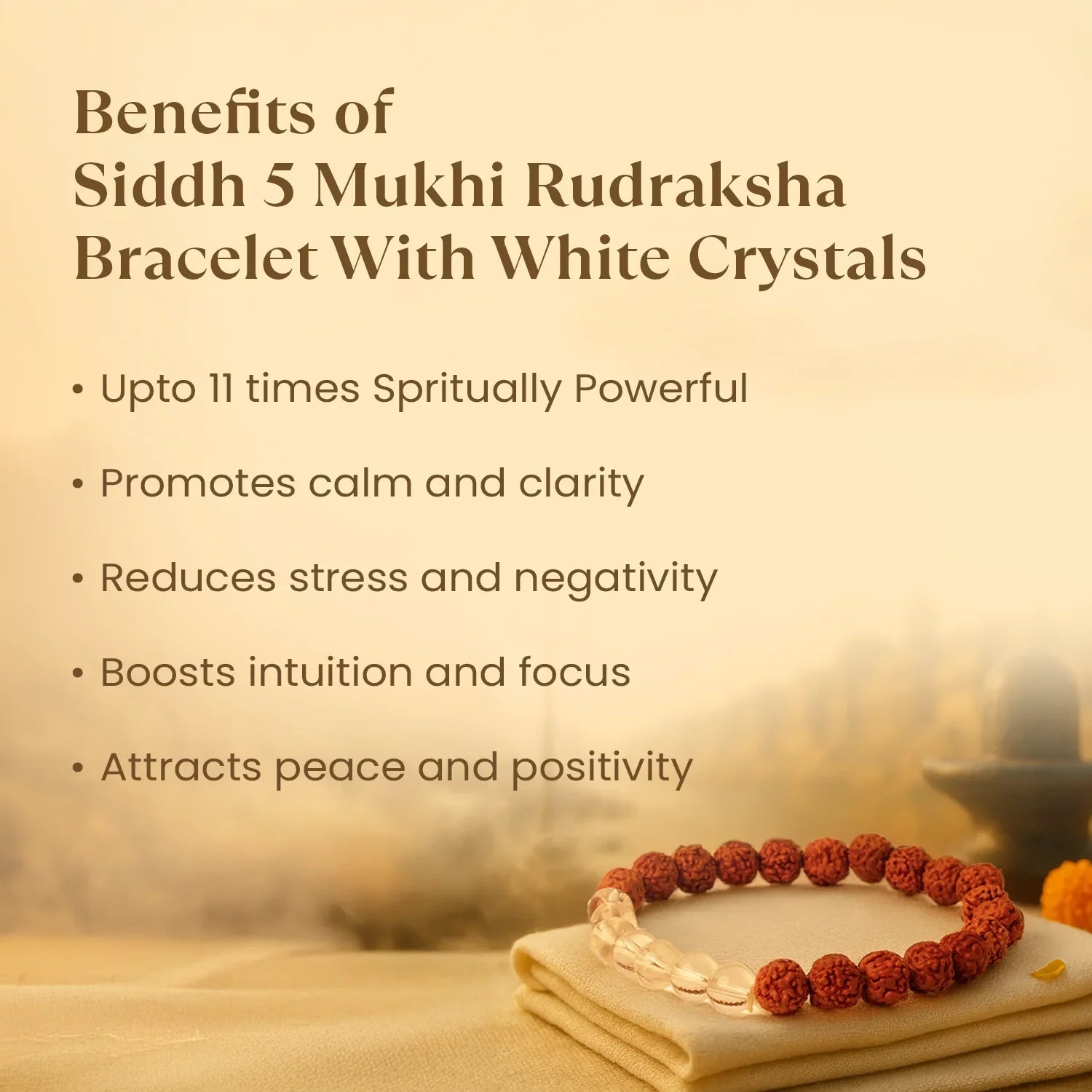 Kashi Siddh 5 Mukhi Rudraksha Bracelet With White Crystals