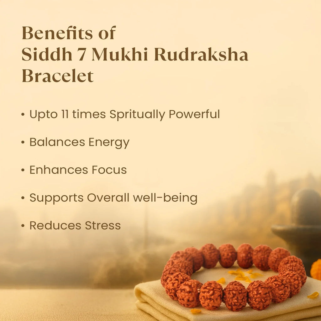 Kashi Siddh 7 Mukhi Rudraksha Bracelet