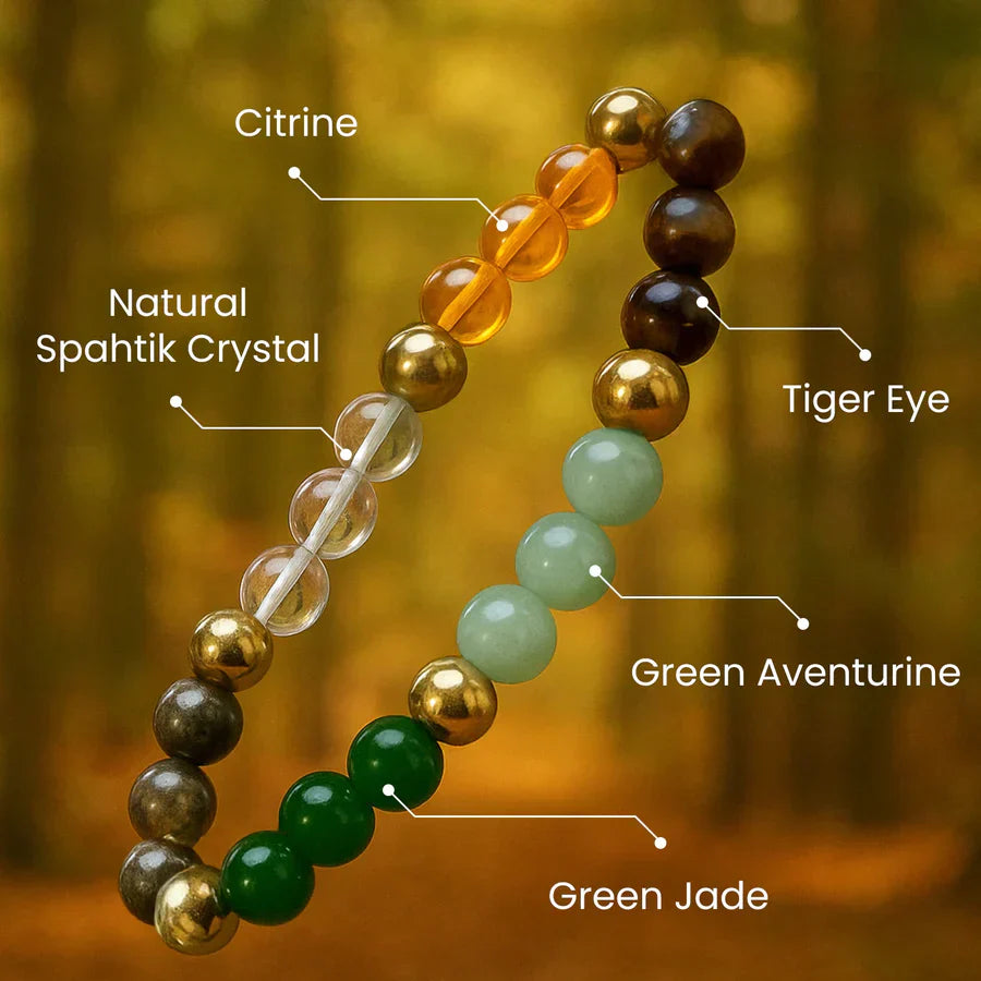 Dhan sampan Combo with Krishna Kavach